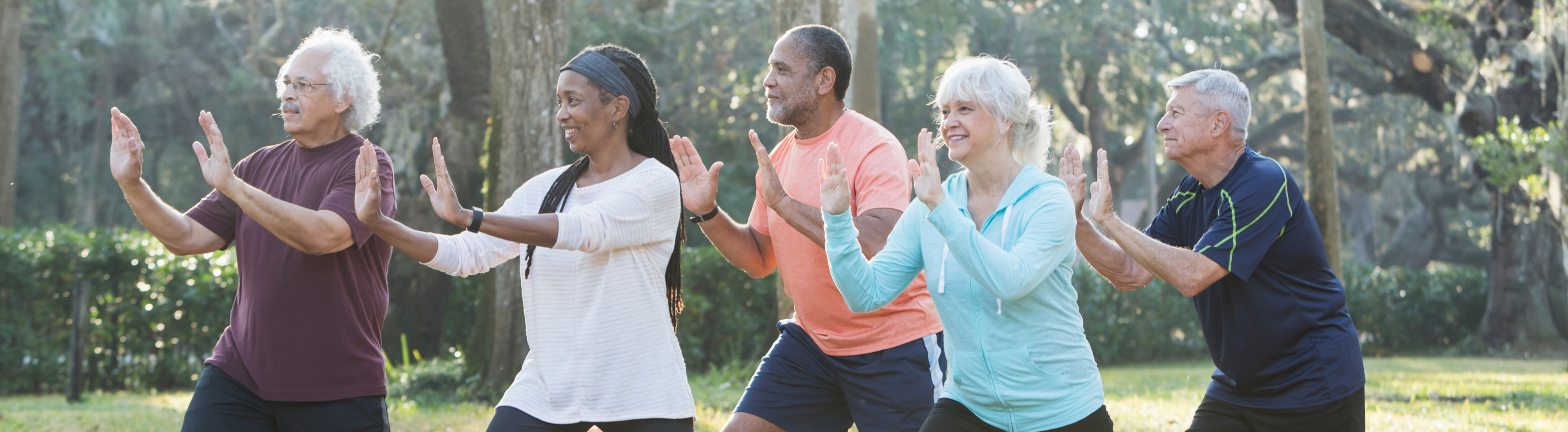 Older adults excercising in a park